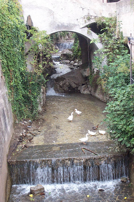 Picture_0165