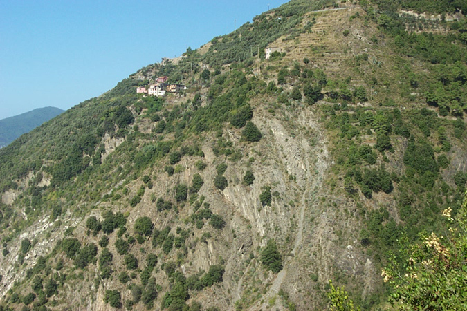 Picture_0104